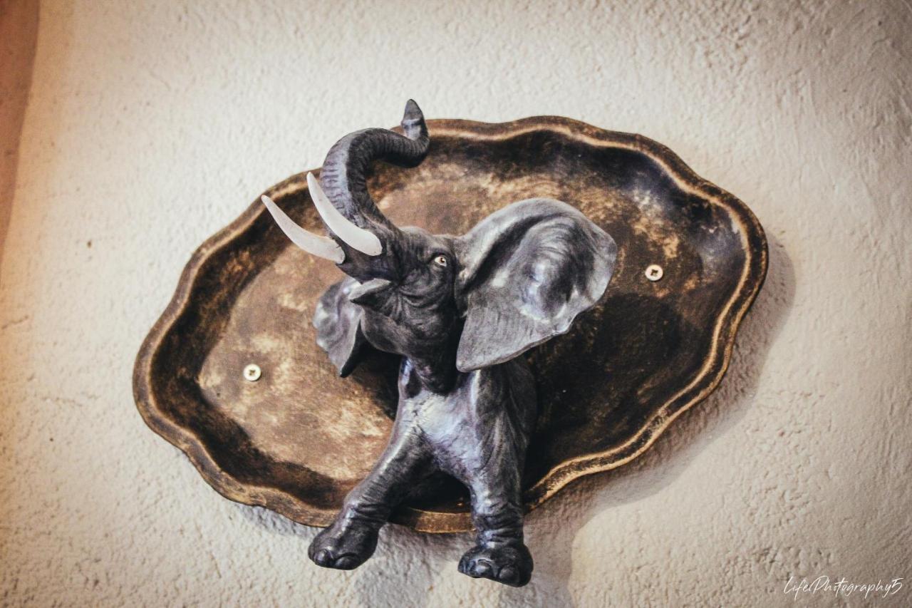 African Elephant'S Den Klerksdorp Eksteriør billede