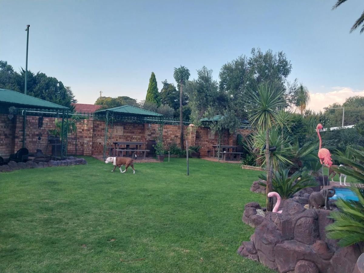 African Elephant'S Den Klerksdorp Eksteriør billede